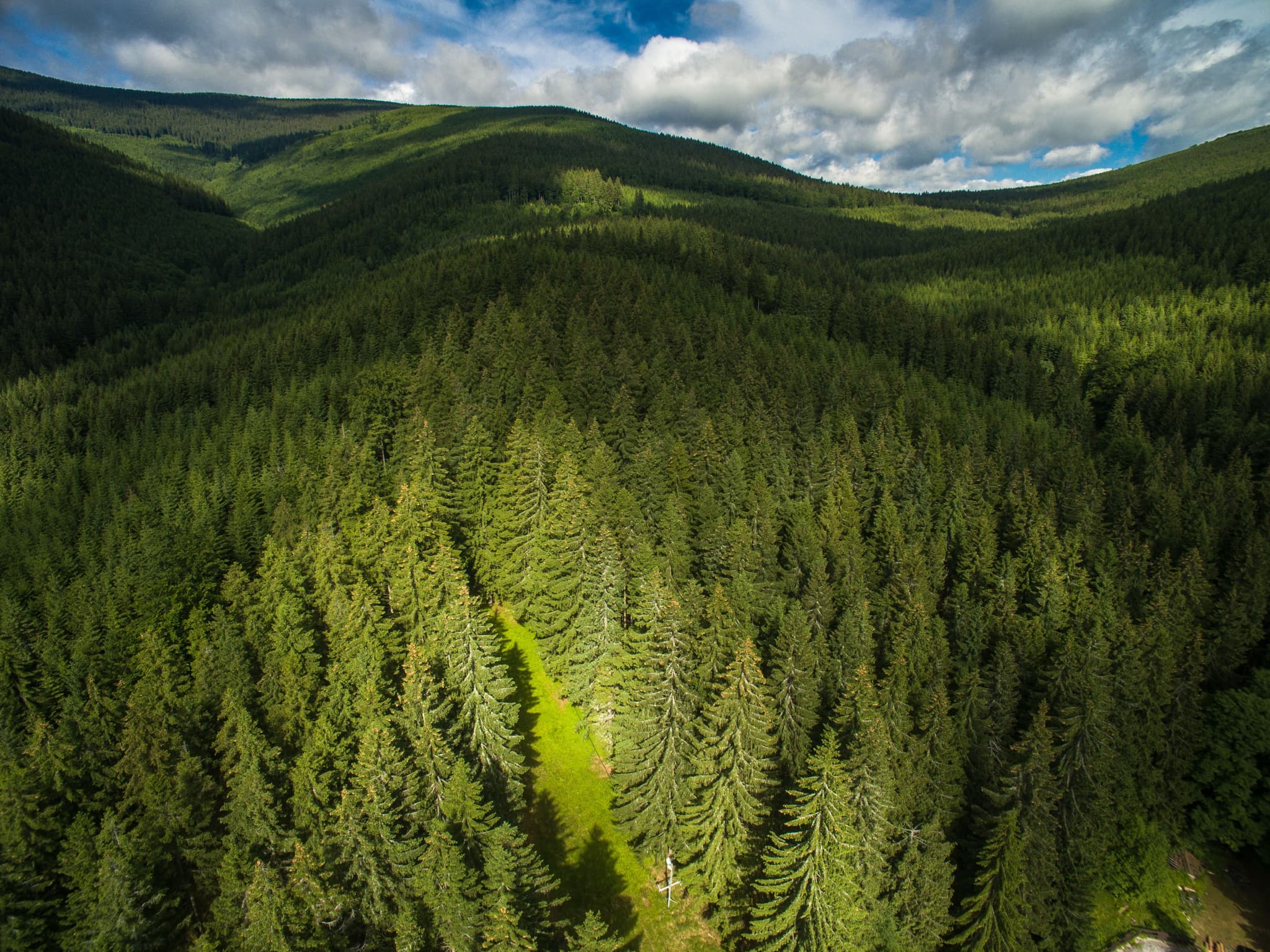 Entrepreneurial Mindset